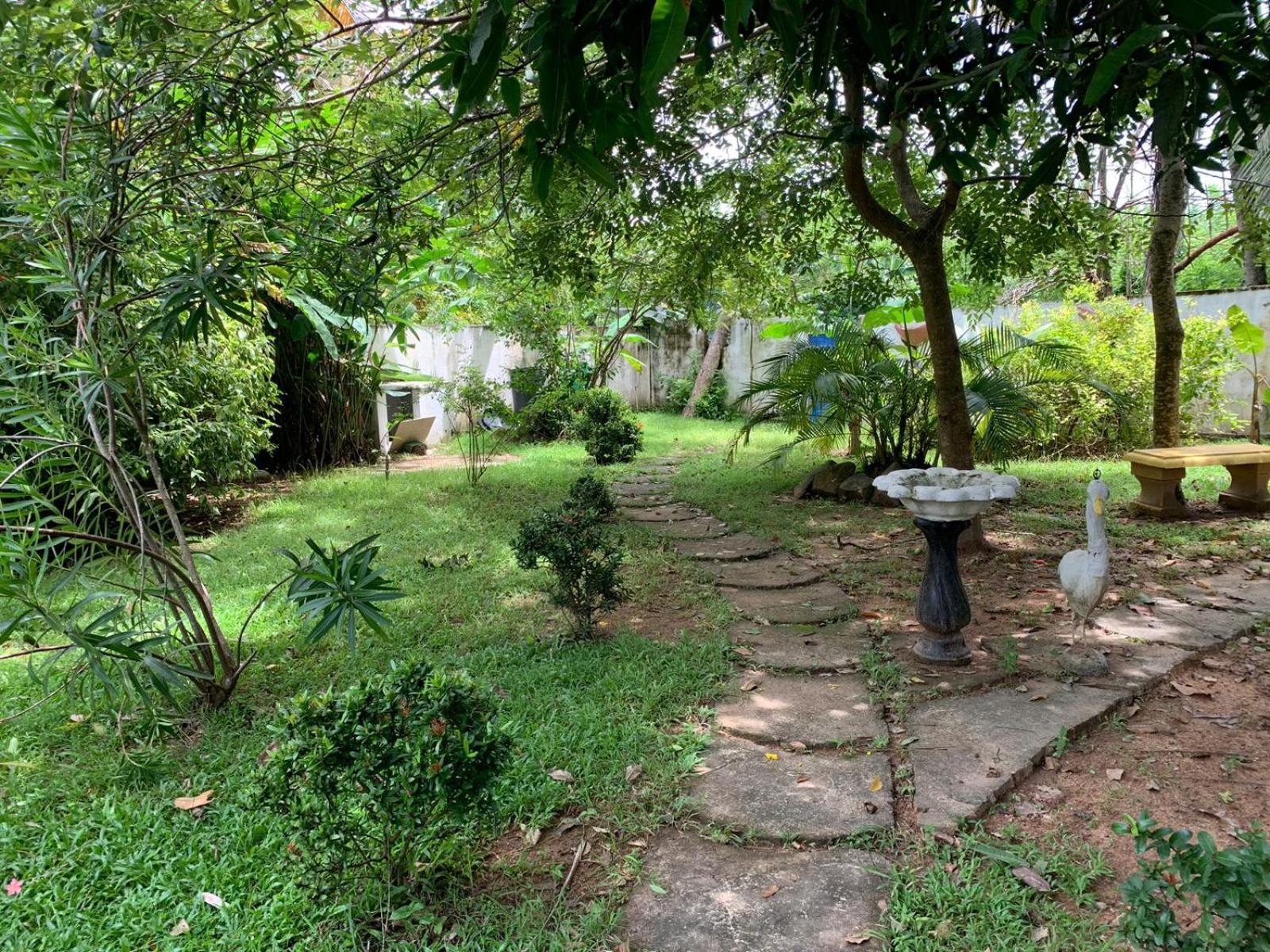 Dream Villa Mirissa Exterior photo